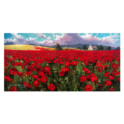 Poppies in Provence by James Coleman
