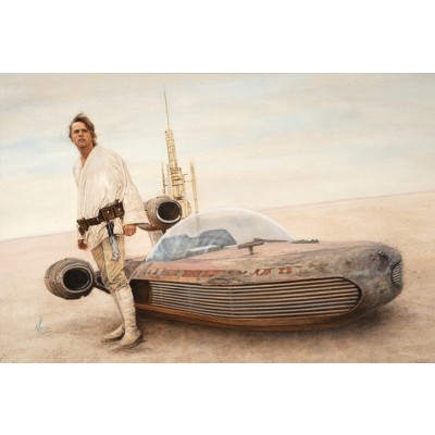 Passage to Alderaan by Mike Kupka