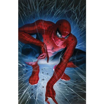 Spider-Man 1: Torment by Alex Ross (Canvas)
