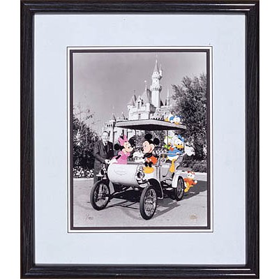 Walt's Magic Kingdom
