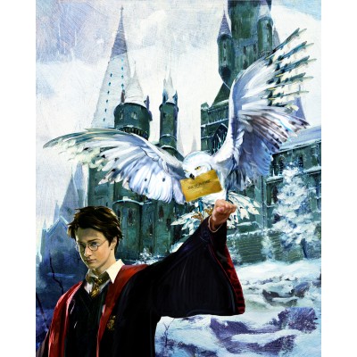 Harry and Hedwig by Jim Salvati