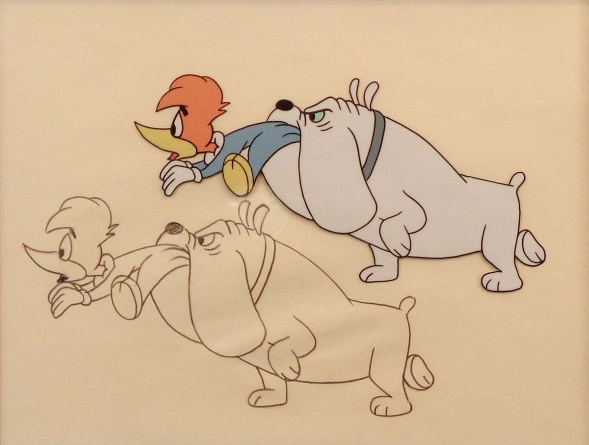 Woody woodpecker dog top