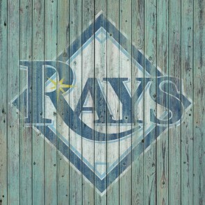Tampa Bay Rays Logo by Mike Kupka