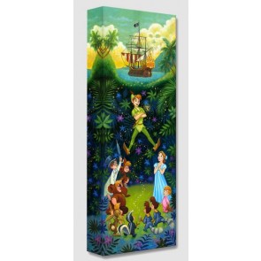 Treasures on Canvas: The Hero of Neverland by Tim Rogerson