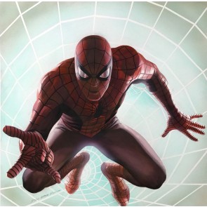 Spider-Man Rockomic by Alex Ross