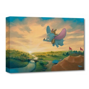 Treasures on Canvas: Flight Over the Big Top by Rob Kaz