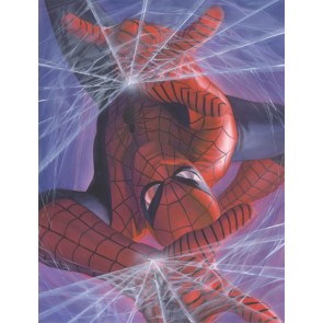 Marvelocity: Spider-Man by Alex Ross