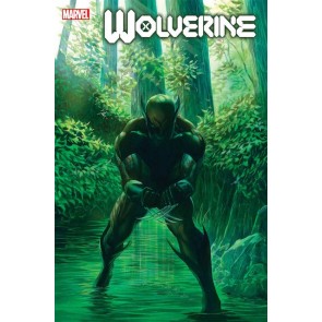 Wolverine 1 by Alex Ross