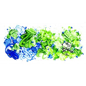 Partly Cloudy Suite: Partly Cloudy 6:15 Morning Fly by Tom Everhart (Regular)