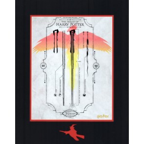 Harry Potter: The Wand