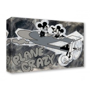 Treasures on Canvas: Plane Crazy by Beau Hufford 
