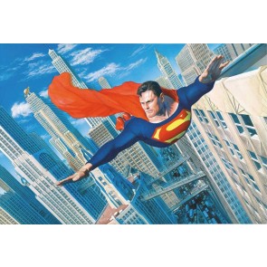 Superman: Look Up In The Sky by Alex Ross