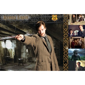 The Witches and Wizards of Harry Potter Collection: Remus Lupin