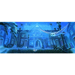The Harry Potter Book Cover Art Series: Number 12 Grimmauld Place (Canvas)