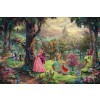 Disney Sleeping Beauty by Thomas Kinkade Studios