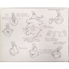 Disney Publication Model Sheet: The Walrus II