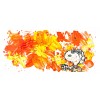 Partly Cloudy Suite: Partly Cloudy 7:30 Morning Fly by Tom Everhart (Roman)