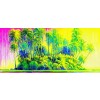 Hide and Seek Suite: Peacock by Tom Everhart