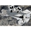 Plane Crazy by Beau Hufford