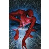 Spider-Man 1: Torment by Alex Ross (Canvas)