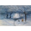 Winter Walk