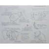 Disney Publication Model Sheet: Dumbo 