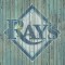 Tampa Bay Rays Logo by Mike Kupka