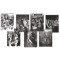 Universal Monsters Suite by Alex Ross (Regular)