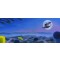 Moon Over Agrabah by Michael Provenza