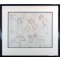 Disney: The Fox and the Hound Double-Sided Drawing Framed