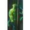 DC Shadows: Aquaman by Alex Ross (Paper)