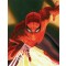 Visions: Spider-man by Alex Ross (Lithograph)