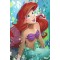 Treasures on Canvas: The Little Mermaid by ARCY