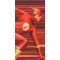 DC Shadows: Flash by Alex Ross