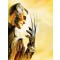 Wolverine: Weapon X by Alex Ross (Artist Proof)