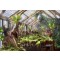 Harry Potter Hogwarts Greenhouse by Thomas Kinkade Studios