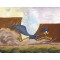 Desert Duo: Road Runner by Chuck Jones
