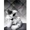 The Portrait Series: Sylvester and Tweety