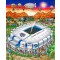 Super Bowl XLII: Arizona by Charles Fazzino